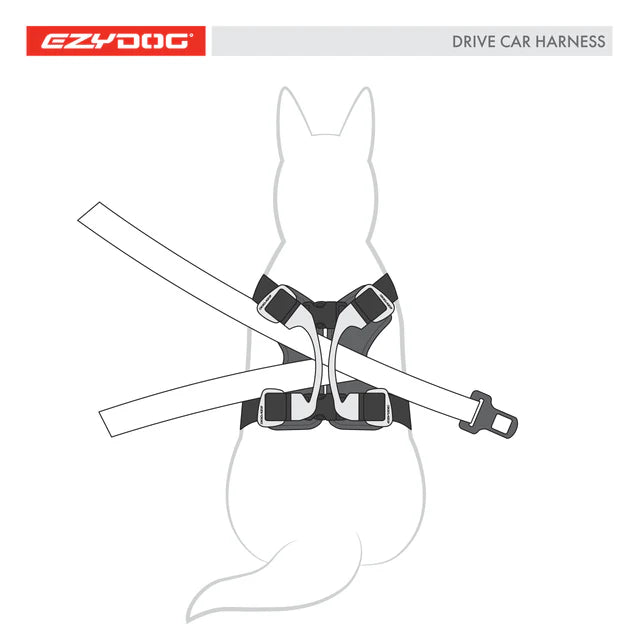 Drive Car Harness