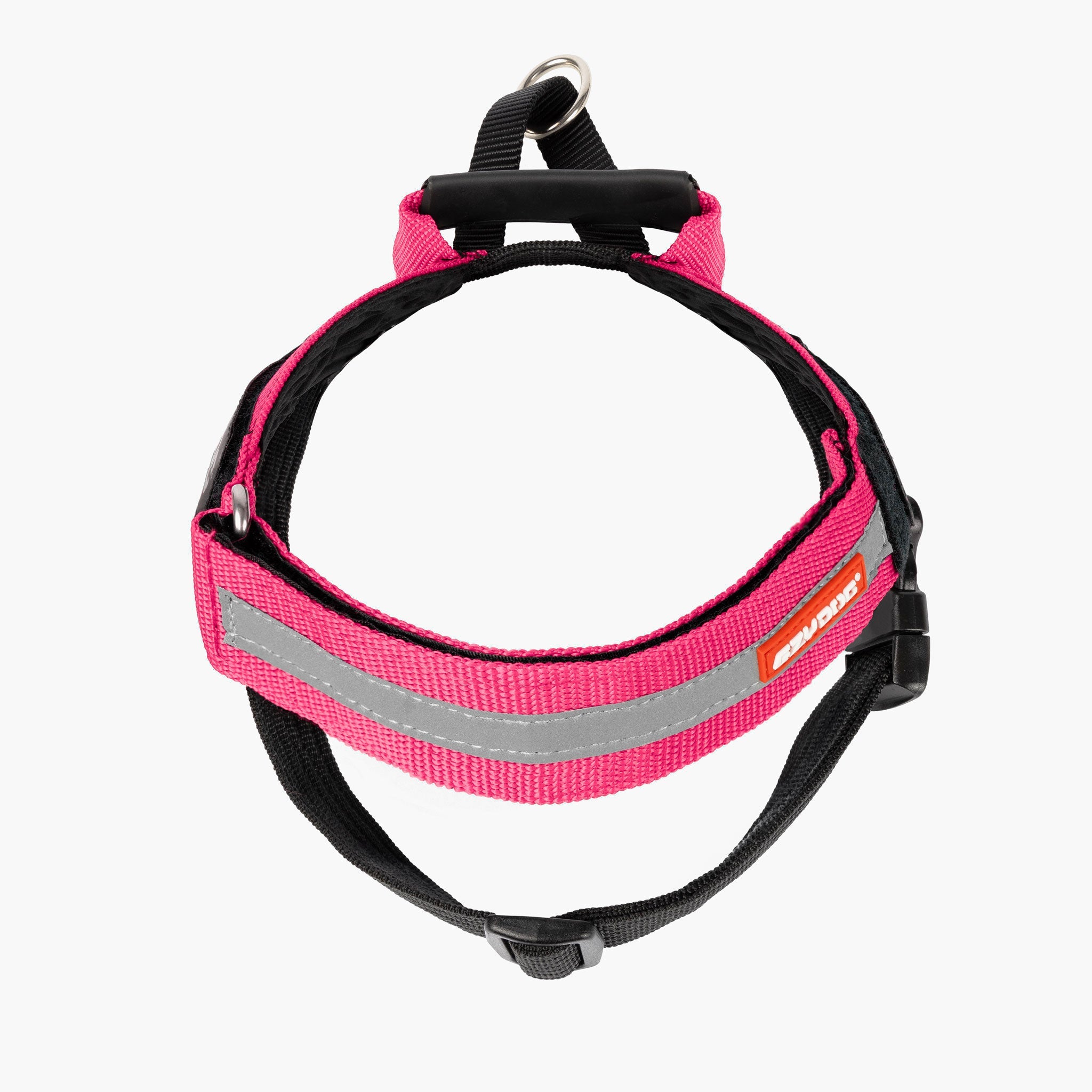 Express Harness