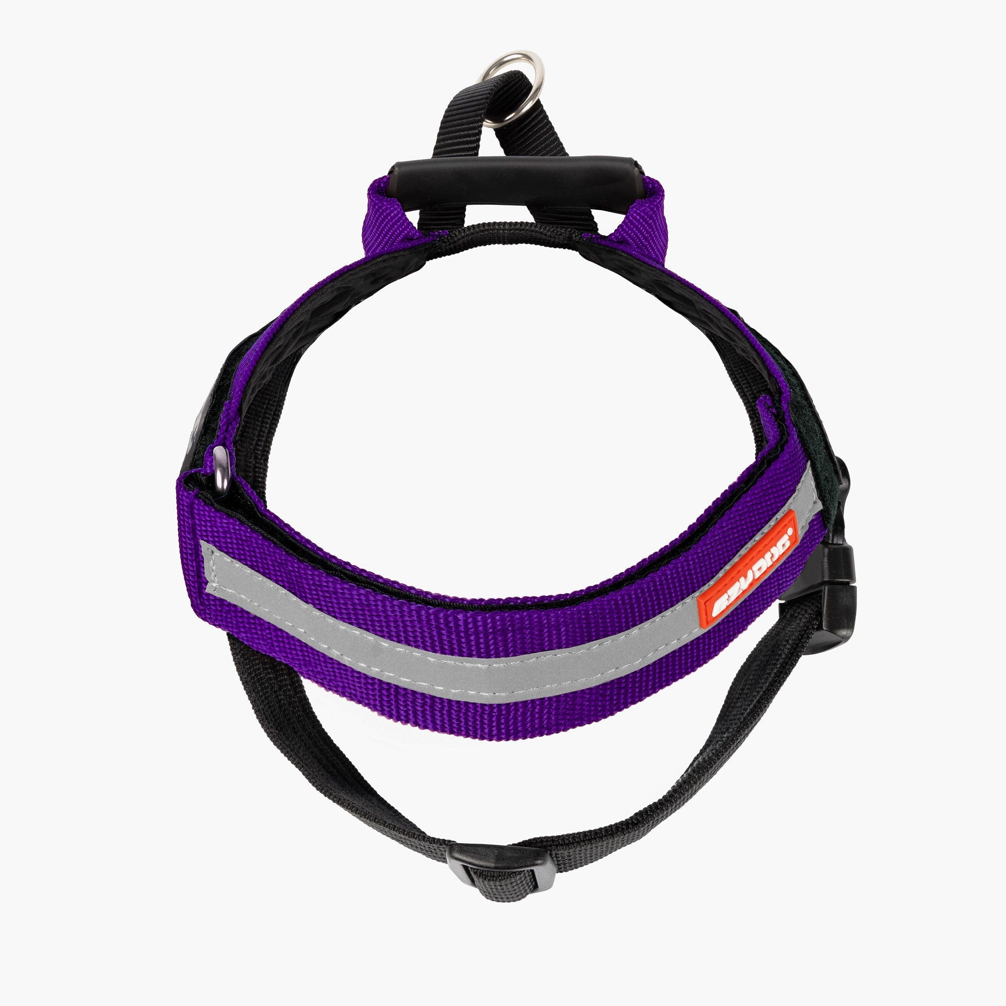 Express Harness