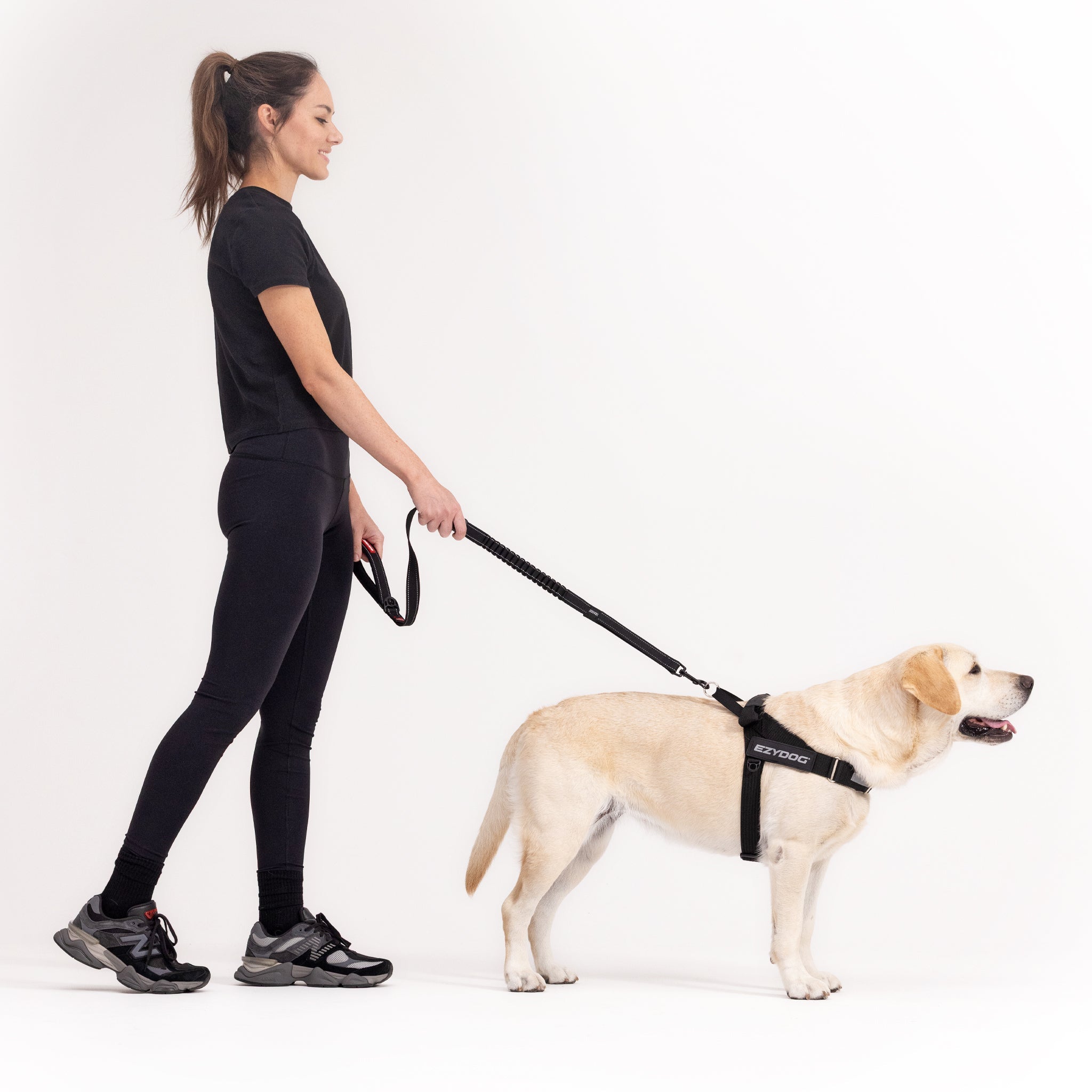 Woman walking a dog on a leash with a harness against a white background