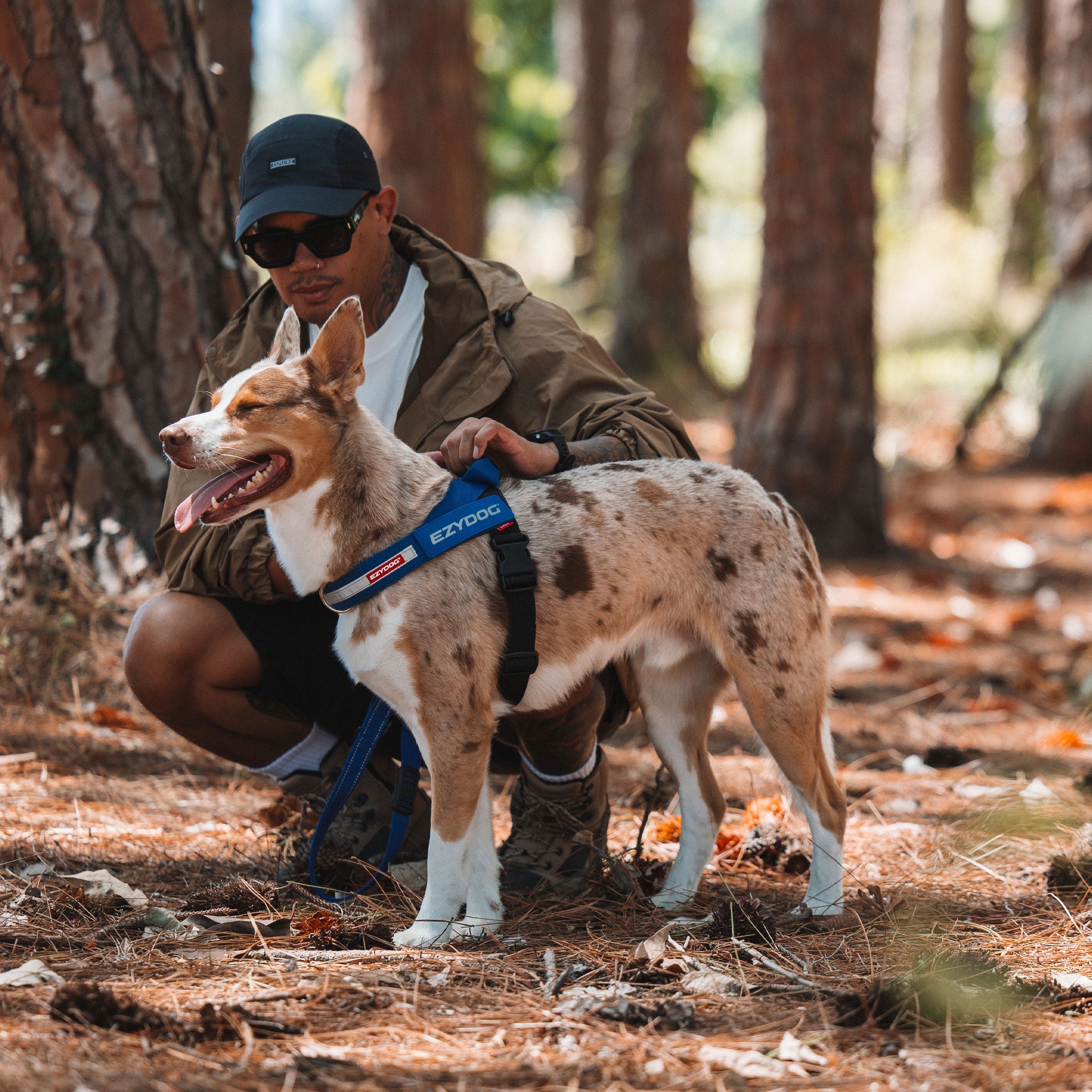 Man in a forest with a dog wearing a harness