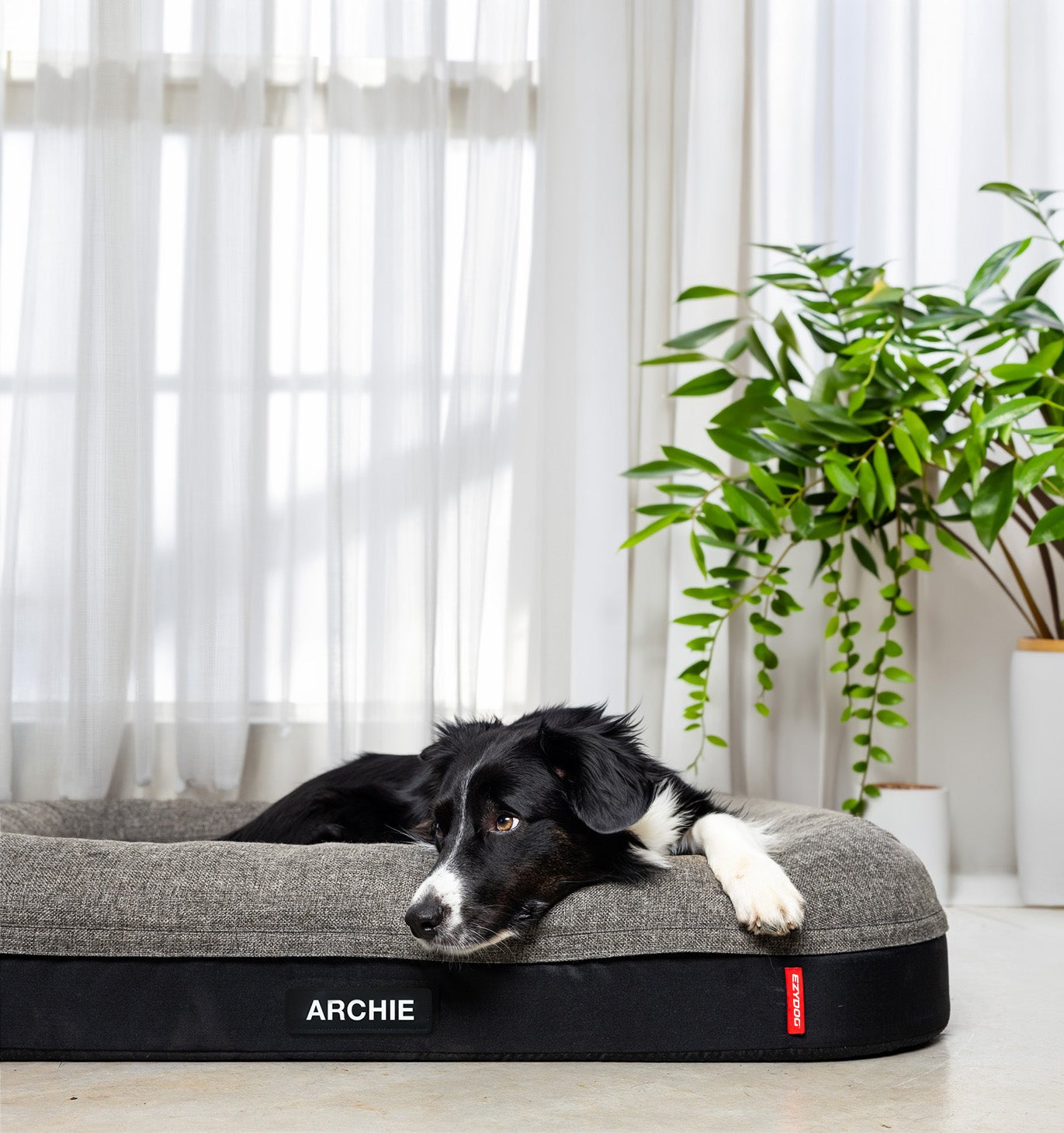Calm Elite Orthopaedic 2-in-1 Dog Bed