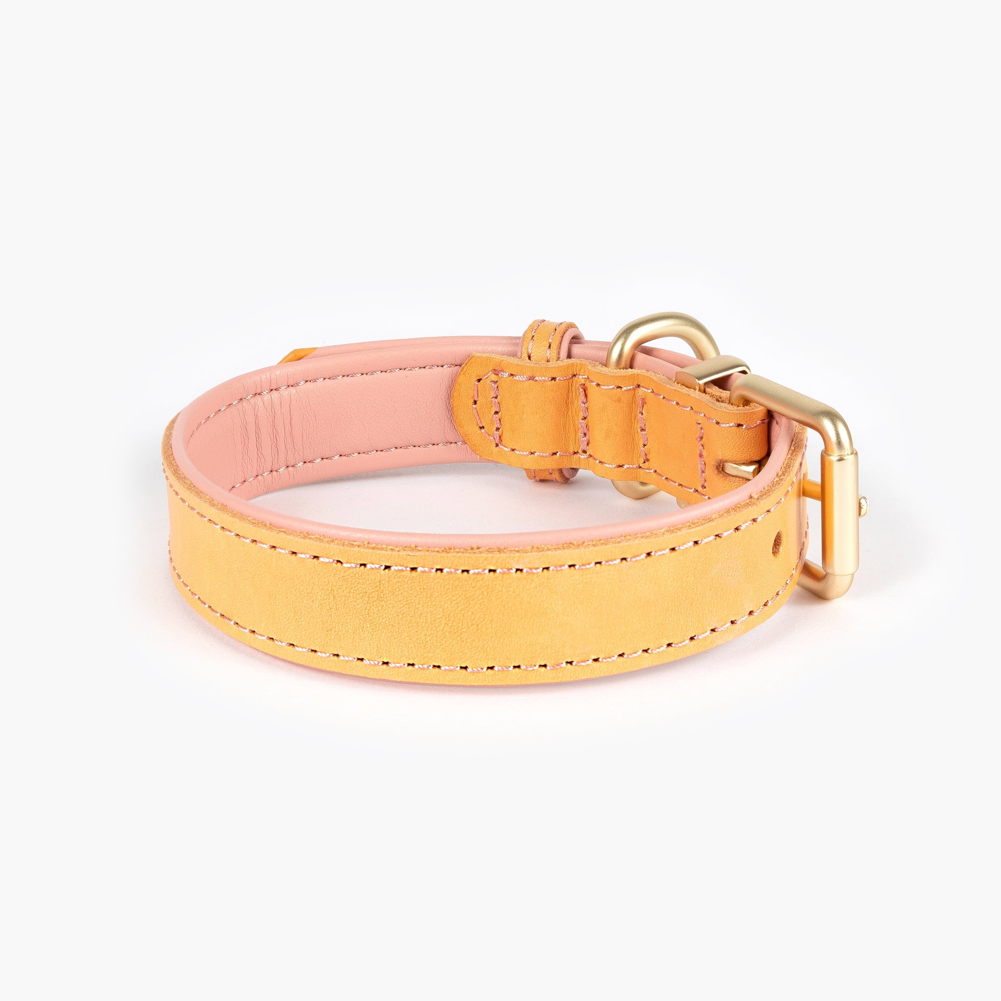 Oxford Leather - Classic Dog Collar