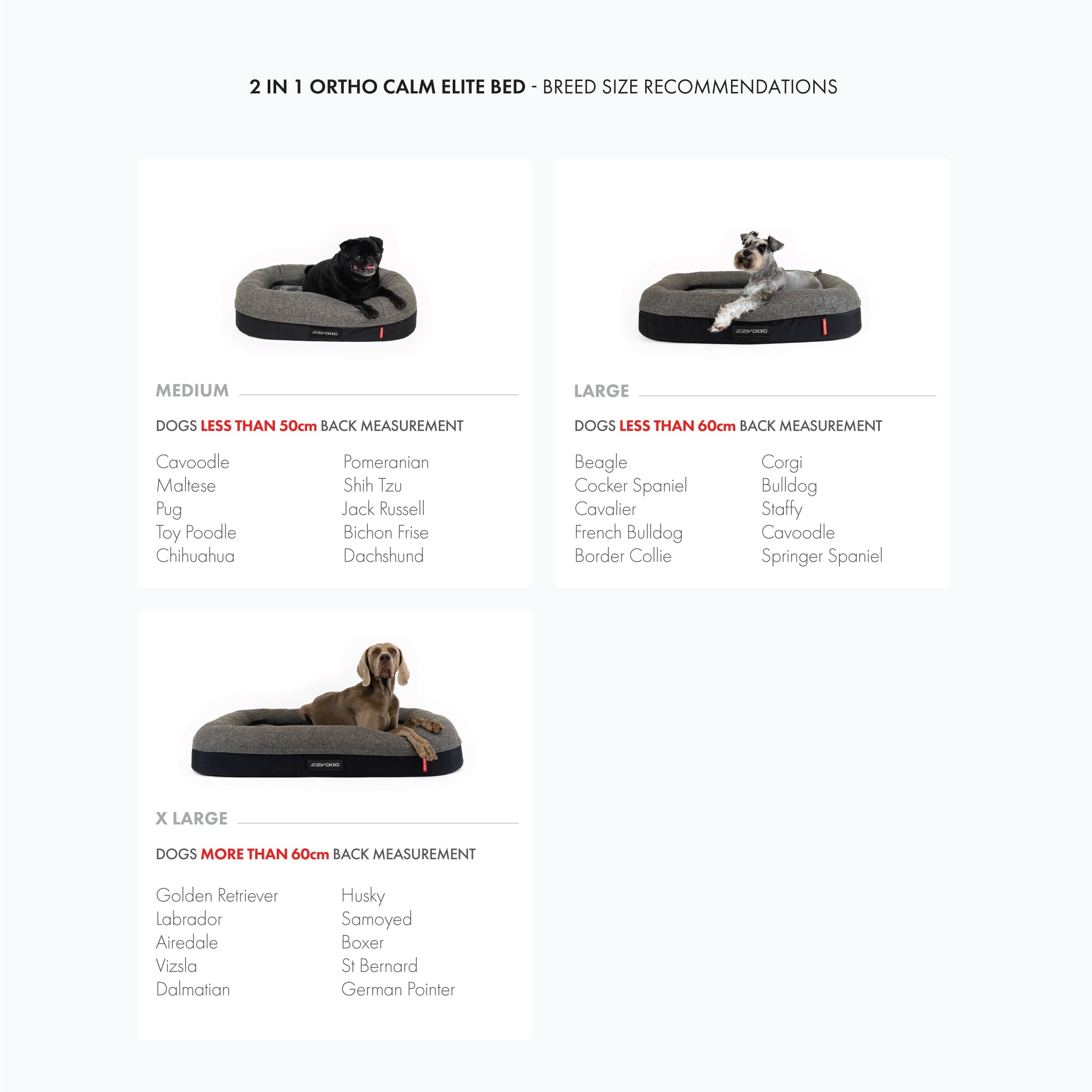 Calm Elite Orthopaedic 2-in-1 Dog Bed