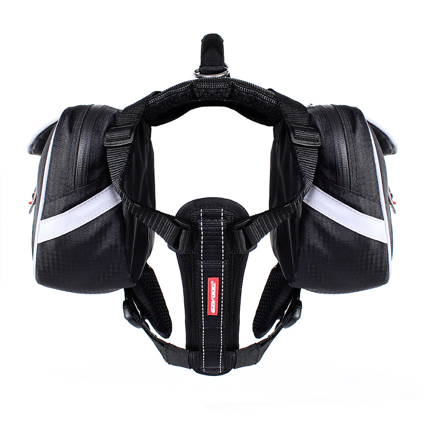 Summit Backpack V1