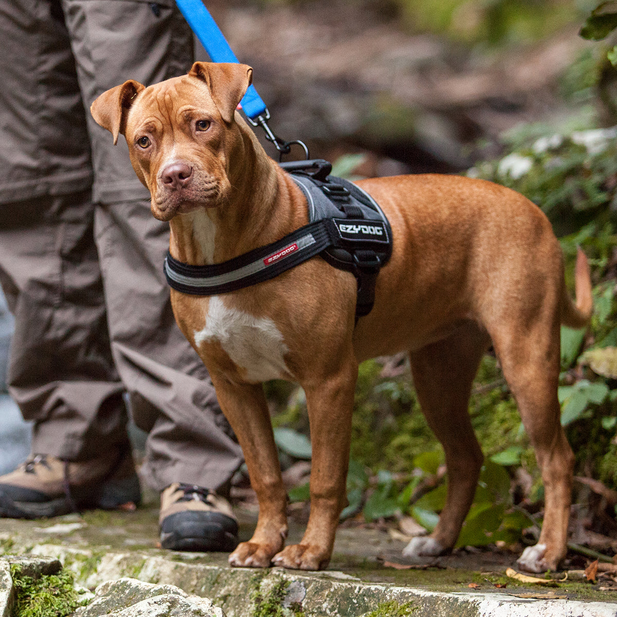 Convert Harness - Camo