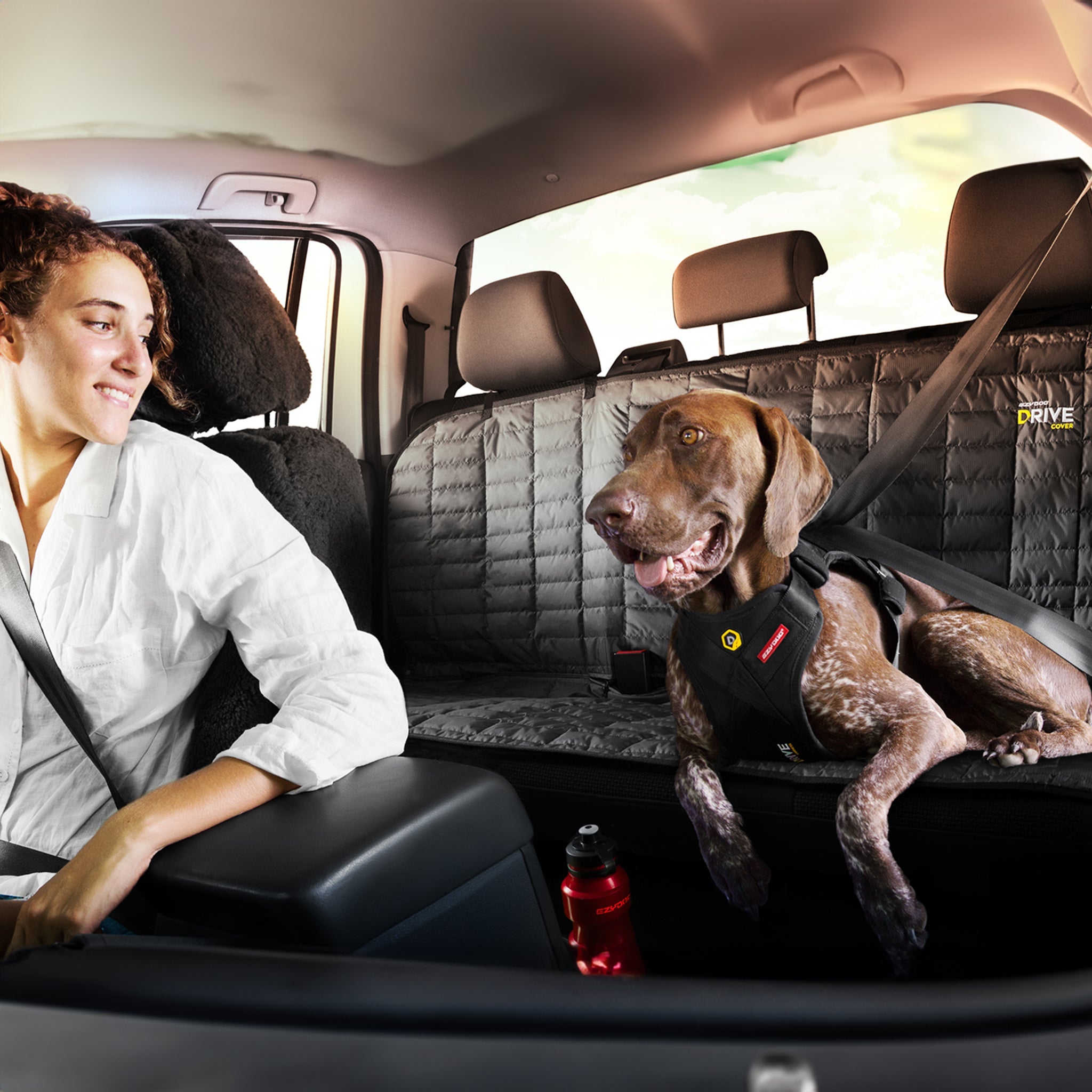 Drive  - Car Seat Cover for Dogs