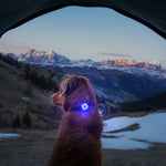 Go-2 Dog Lights