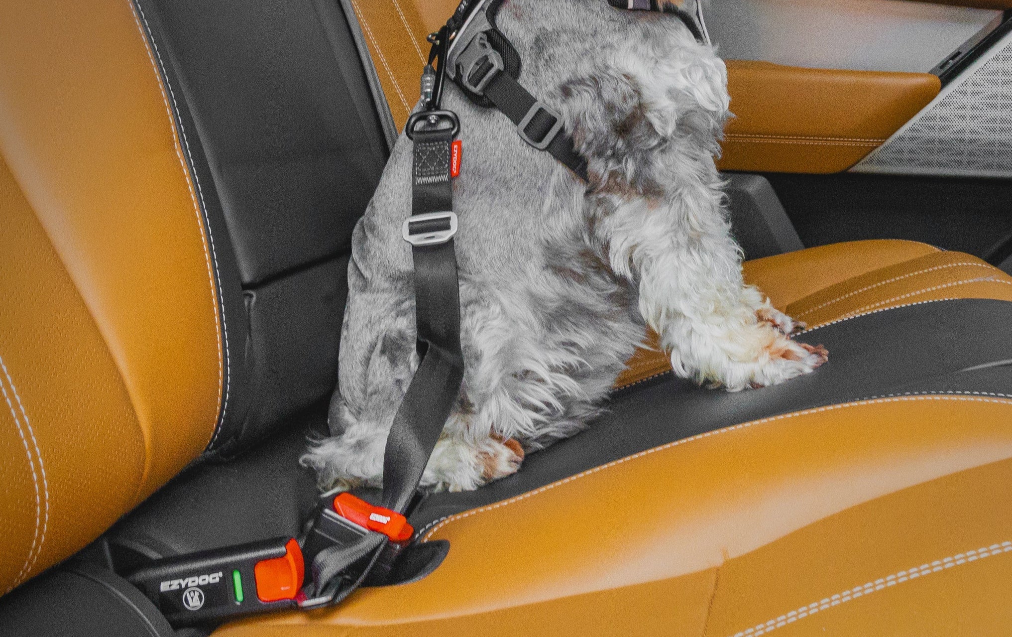 ISOFIX Latch Adjustable Dog Seatbelt