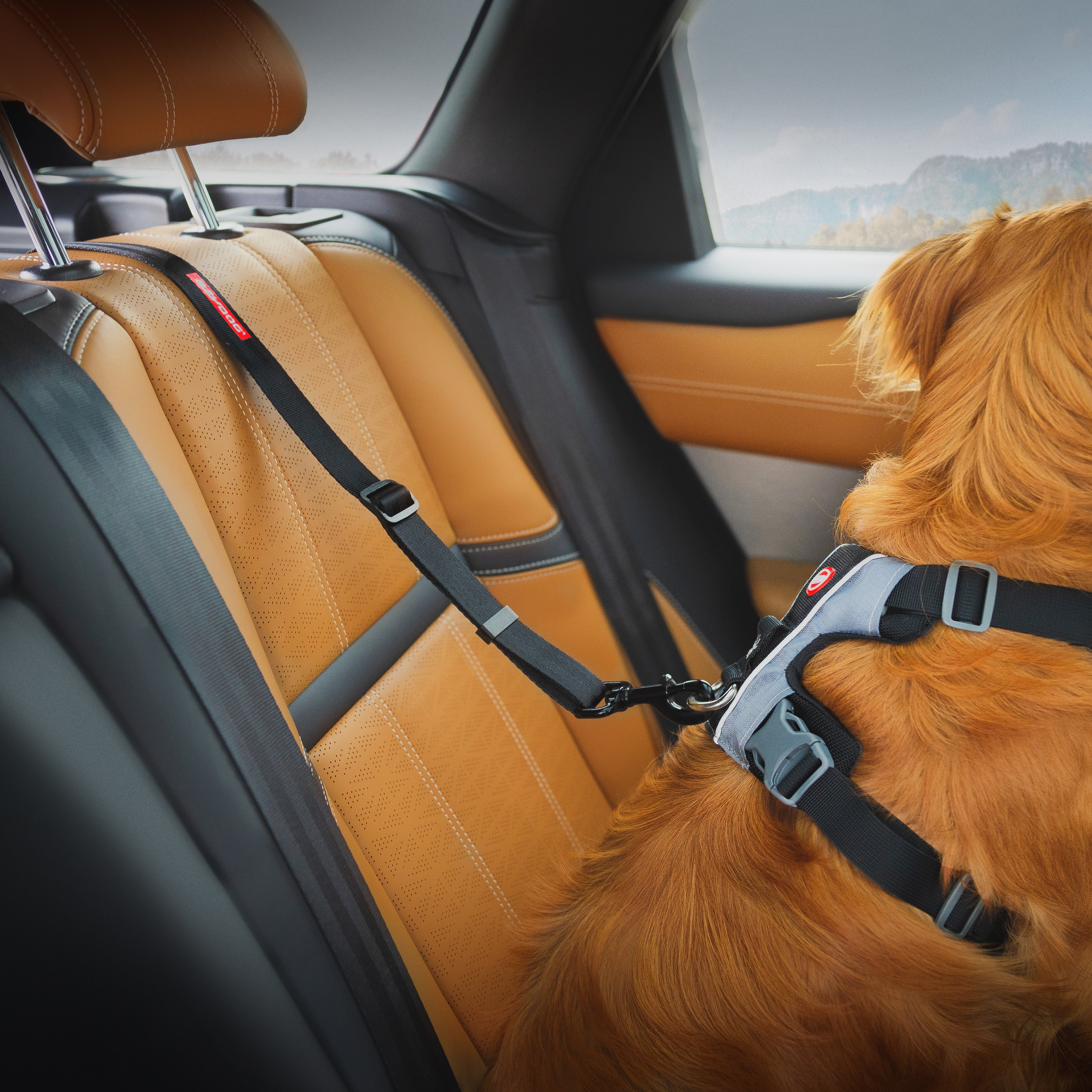 Click ISOFIX Dog Seat Belt