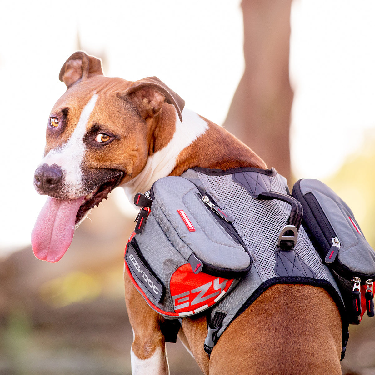 Summit Backpack