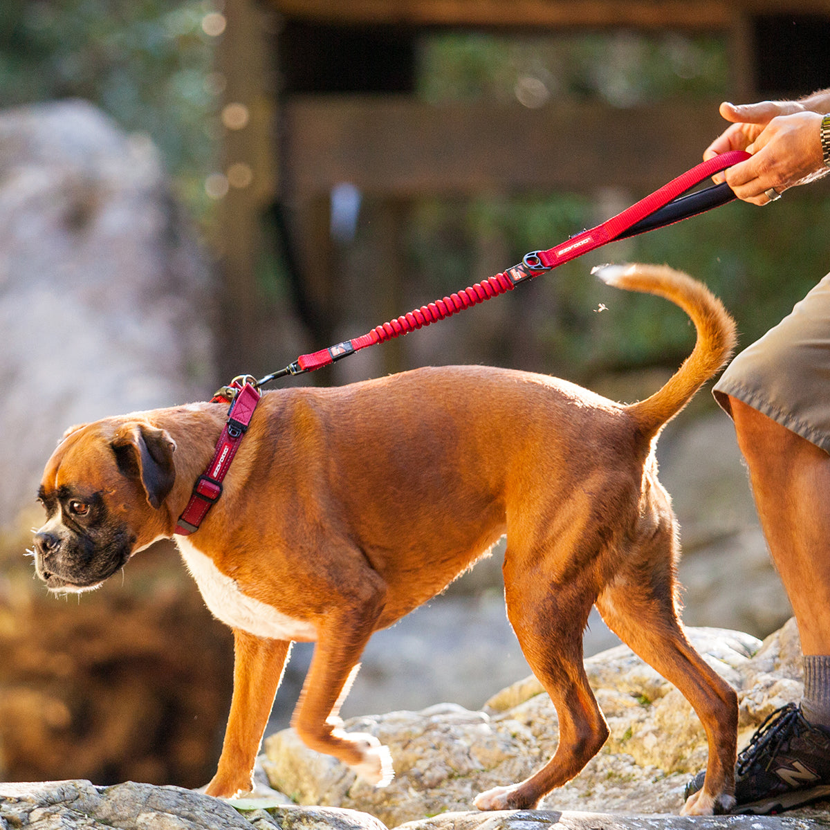 Zero Shock Leash - Denim